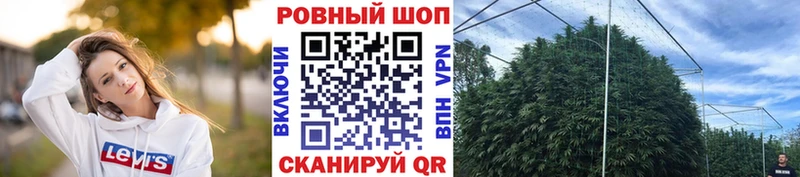 Купить наркотик аптеки Касли Alpha PVP MDMA Каннабис COCAIN Мефедрон