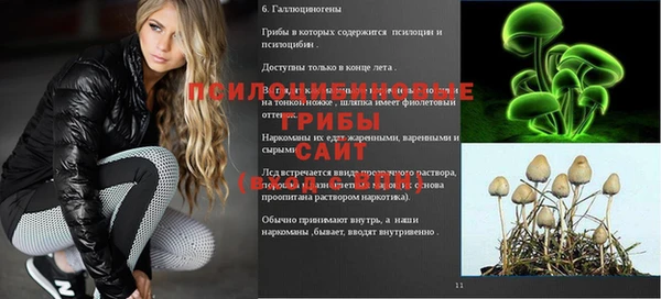 дурь Абинск