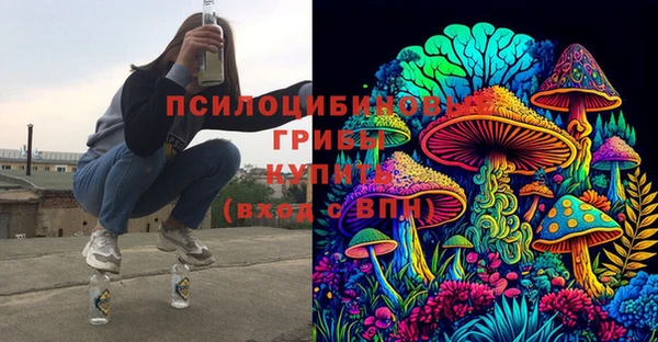 соль ск Алексин