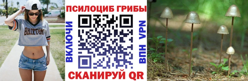 Галлюциногенные грибы Cubensis  Касли 